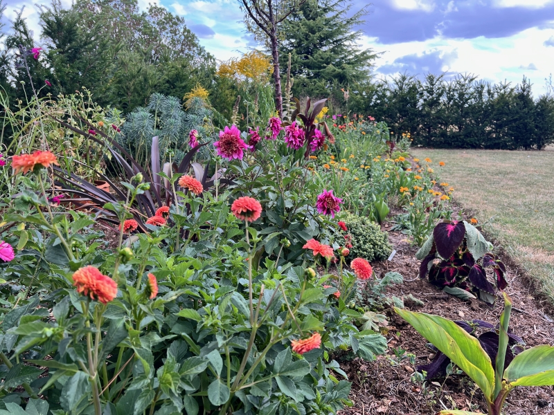 Springfield House, Collyweston